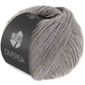 Lana Grossa DIVERSA | 28-gris clair