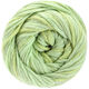 Lana Grossa ECCO | 003-vert clair