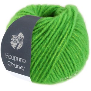 Lana Grossa ECOPUNO Chunky | 133-vert printanier