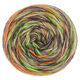 Lana Grossa ECOPUNO Hand-dyed | 54-vert clair/taupe/beige sable/orange/anthracite