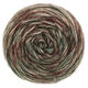 Lana Grossa ECOPUNO Hand-dyed | 55-vert mousse/beige/brun noir/menthe/brun gris