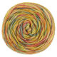 Lana Grossa ECOPUNO Hand-dyed | 58-orange/gris vert/jaune canari/vanille/rouge carmin
