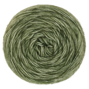 Lana Grossa ECOPUNO Hand-dyed | 65-vert olive