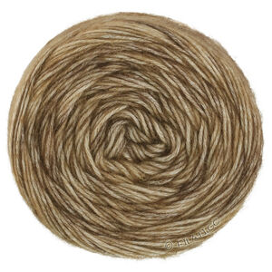 Lana Grossa ECOPUNO Hand-dyed | 67-gris beige/taupe