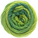 Lana Grossa ELASTICO Dégradé | 707-vert clair/vert moyen/vert foncé/pétrole
