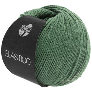 Lana Grossa ELASTICO | 141-vert réséda