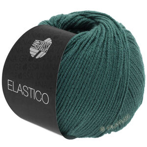 Lana Grossa ELASTICO | 147-vert foncé