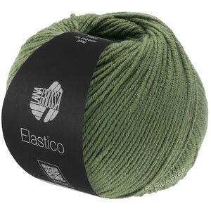 Lana Grossa ELASTICO | 156-vert laurier-rose