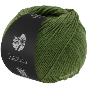 Lana Grossa ELASTICO | 192-feuille verte