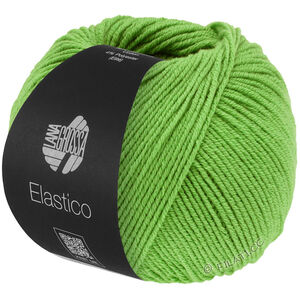 Lana Grossa ELASTICO | 193-vert printanier