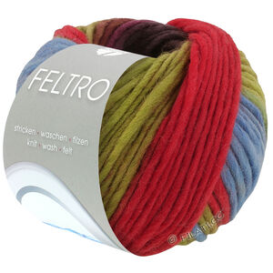 Lana Grossa FELTRO Arco | 444-violet rouge/bleu/pistache/rouge/brun gris