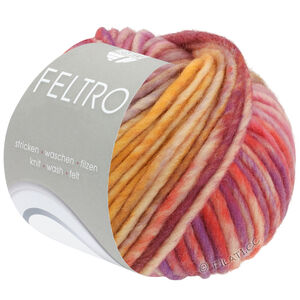Lana Grossa FELTRO Camino | 843-orange/rose/lilas/violet/jaune moutarde/gris clair/olive clair