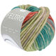 Lana Grossa FELTRO Camino | 844-vert opale/vert clair/pistache/rouille/bois de rose/brun gris
