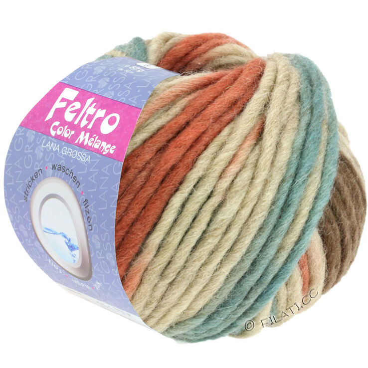 Lana Grossa FELTRO Color Melange | 1001-beige/brun rouge/gris vert/brun