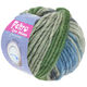 Lana Grossa FELTRO Color Melange | 1010-gris/gris foncé/bleu pigeon/vert