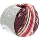 Lana Grossa FELTRO Fumo | 651-violette antique/rose vif/écru/baies/brun gris