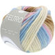 Lana Grossa FELTRO Line | 433-gris argent/bleu clair/rose/nougat