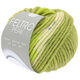 Lana Grossa FELTRO Peak | 1413-olive/vert réséda/bleu fumé/taupe