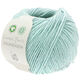 Lana Grossa FOURSEASON (Linea Pura) | 39-menthe