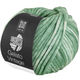 Lana Grossa GELATO Vintage | 108-vert laurier-rose/blanc