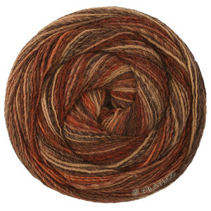 Lana Grossa GOMITOLO DISEGNO | 525-bourgogne/beige/rouille/taupe/brun foncé/brun gris/brun noir