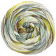 Lana Grossa GOMITOLO DOPPIO | 254-blanc/beige/sable/jaune moutarde/kaki/gris clair/brun gris