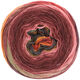 Lana Grossa GOMITOLO FELICE | 712-bourgogne/rouge clair/orange/rose/gris vert/gris foncé