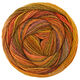 Lana Grossa GOMITOLO INTENSO | 244-orange/nougat/ocre/bleu gris/brun clair/brun foncé/brun rouge/corail