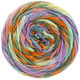 Lana Grossa GOMITOLO SELEZIONE 3 | 3006-fuchsia/vert tendre/vert foncé/menthe/orange/brun