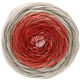 Lana Grossa GOMITOLO SOLE | 920-gris clair/gris argent/rose délicat/blanc rose/tomate/rouge