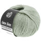 Lana Grossa LACE SETA | 17-gris vert