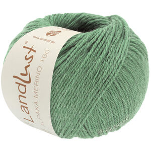 Lana Grossa LANDLUST Alpaka Merino 160 | 432-vert roseau