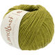 Lana Grossa LANDLUST Alpaka Merino 160 | 443-vert kiwi