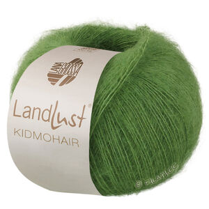 Lana Grossa LANDLUST KIDMOHAIR | 04-vert