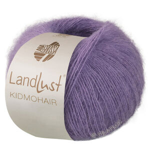 Lana Grossa LANDLUST KIDMOHAIR | 13-gris pourpre