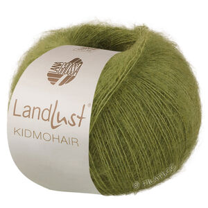 Lana Grossa LANDLUST KIDMOHAIR | 25-forêt verte