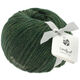 Lana Grossa LANDLUST MERINO 120 | 115-vert mousse