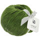 Lana Grossa LANDLUST MERINO 120 | 117-vert