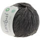 Lana Grossa LANDLUST MERINO 180 (GOTS & ICEA) | 219-gris foncé