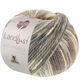 Lana Grossa LANDLUST Naturwolle Print | 101-gris/crème tacheté