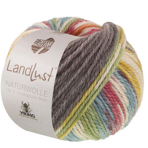 Lana Grossa LANDLUST Naturwolle Print | 105-rouge multicolore tacheté