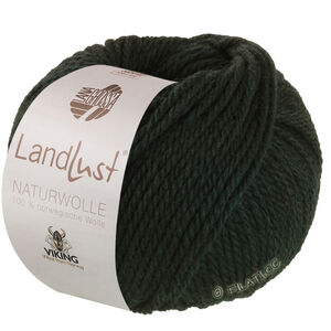 Lana Grossa LANDLUST Naturwolle | 04-vert noir