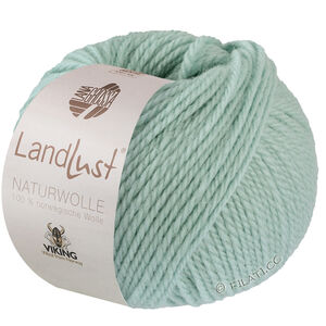 Lana Grossa LANDLUST Naturwolle | 07-bleu menthe