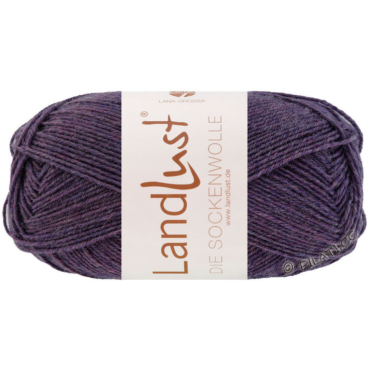 Lana Grossa LANDLUST DIE SOCKENWOLLE 50g Mélange | 1601-violet foncé chiné