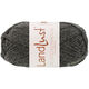 Lana Grossa LANDLUST DIE SOCKENWOLLE 50g Mélange | 1606-anthracite chiné