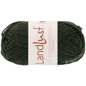 Lana Grossa LANDLUST DIE SOCKENWOLLE 50g Mélange | 1610-vert noir chiné