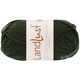 Lana Grossa LANDLUST DIE SOCKENWOLLE 50g Mélange | 1610-vert noir chiné