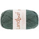 Lana Grossa LANDLUST DIE SOCKENWOLLE 50g Mélange | 1611-jade chiné