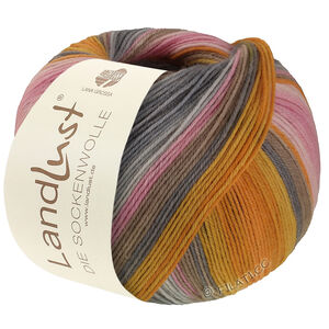 Lana Grossa LANDLUST DIE SOCKENWOLLE | 132-orange/jaune vitellus/orange saumon/gris/beige gris/rose délicat/rose/carnation/gris clair rayé