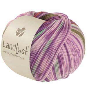 Lana Grossa LANDLUST DIE SOCKENWOLLE | 611-orchidée/brun/vert mai/écru/rosé/olive rayé